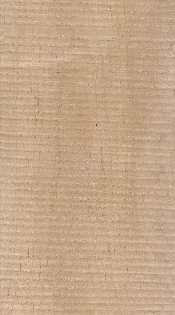 樺木的芯材顏色是淡紅棕色，邊材顏色近白色，板麵寬且帶影的木皮市場價格良好，紋理通常是直紋和波浪紋，質地均勻，板麵有很好的自然光澤度。.webp.jpg